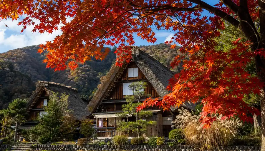 Shirakawa-go Weather, Live Cam, and Autumn Foliage Guide