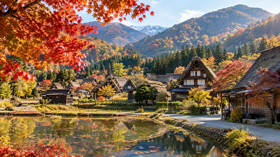 Shirakawa-go Weather, Live Cam, and Autumn Foliage Guide
